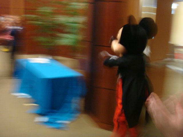 Movies By The Mouse