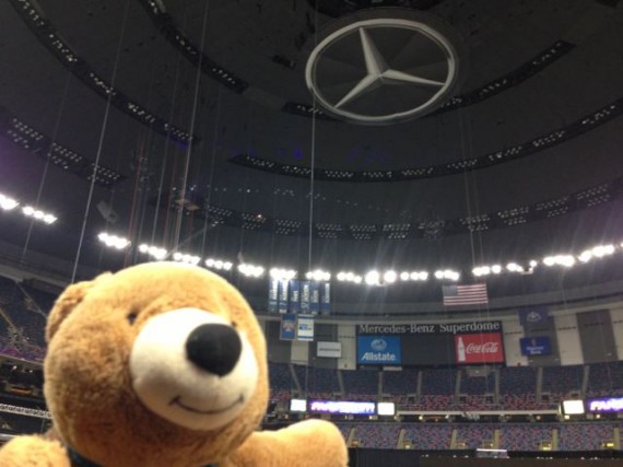 jeff noel's traveling teddy bear in the Mercedes Benz Super Dome