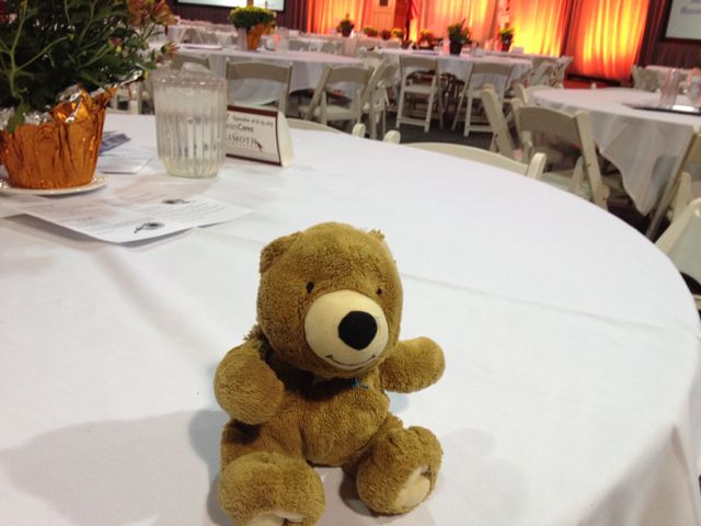 A special Teddy Bear