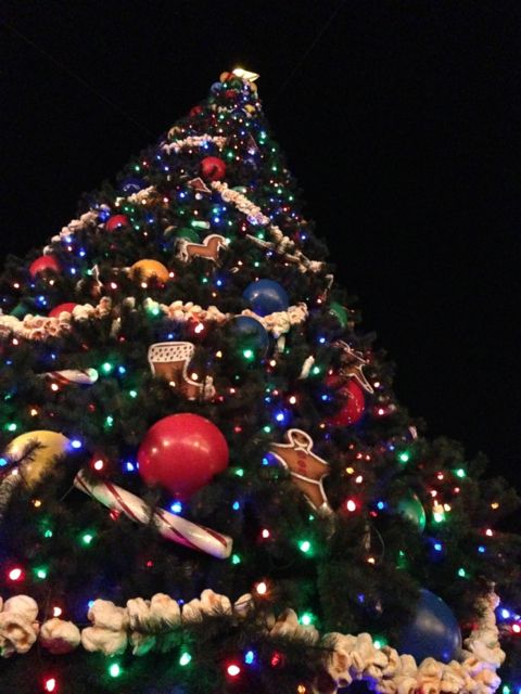 Disney's Magic Kingdom Christmas Tree 2012 at night