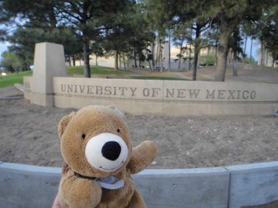Teddy Bear at University of New Mexico entrance
