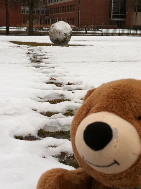 Jack the Teddy Bear at University of Iowa in Winter