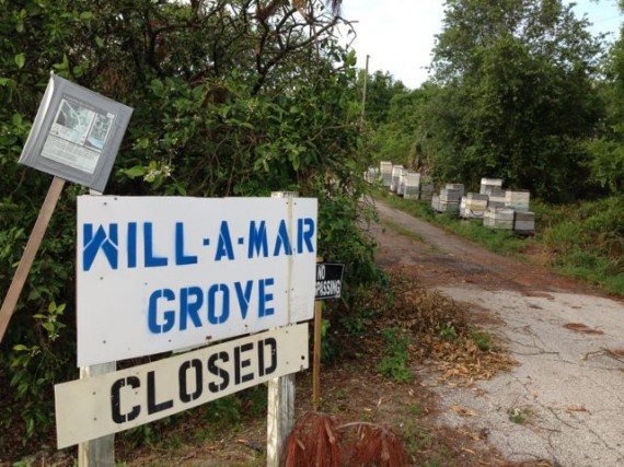 Will A Mar Orange Grove for sale