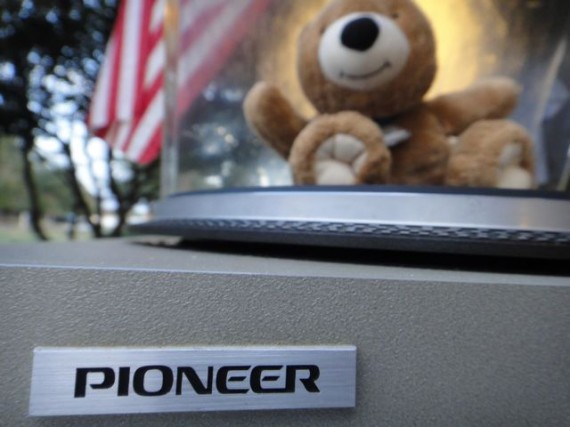 unusual photo of teddy bear on old record turntable