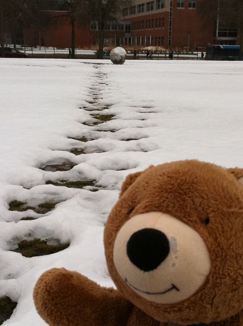 Jack the Bear and the giant snowball