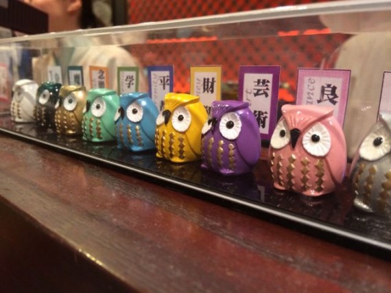 Small owl trinkets lined up on display