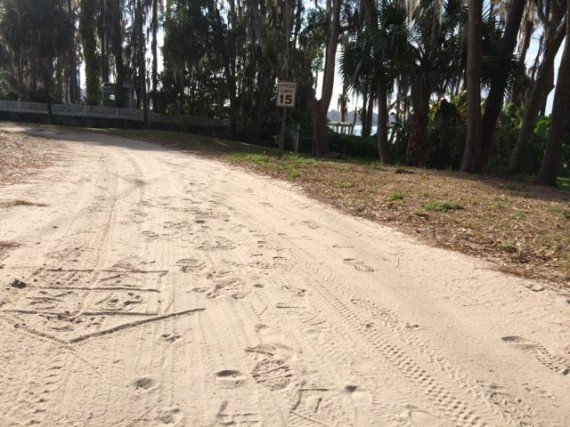 Residential dirt road in Windermere Florida