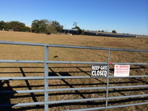 Pasture gate with no trespassing sign