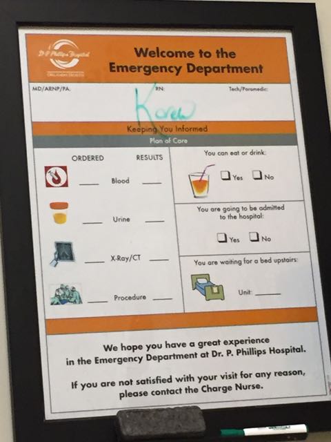 Emergency Room patient room Nurse chart