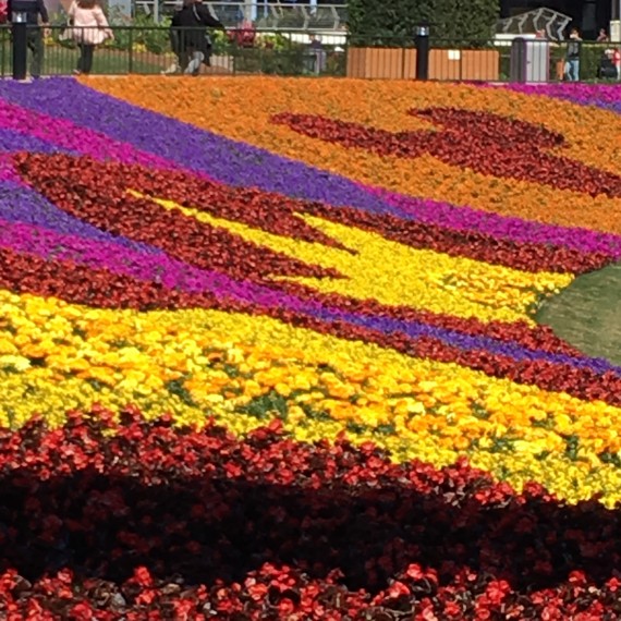 Epcot flowers