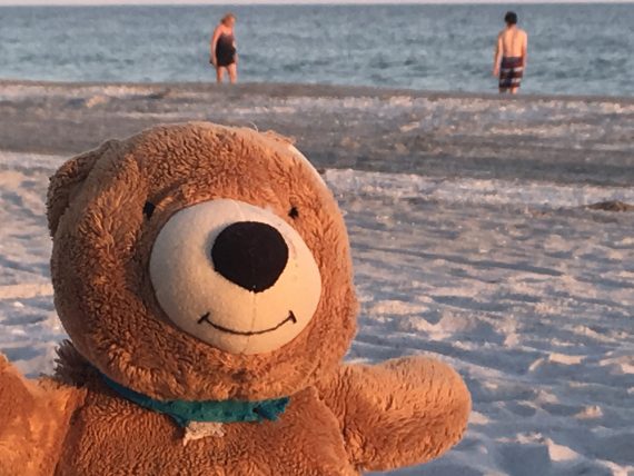 Teddy Bear at Sanibel Island