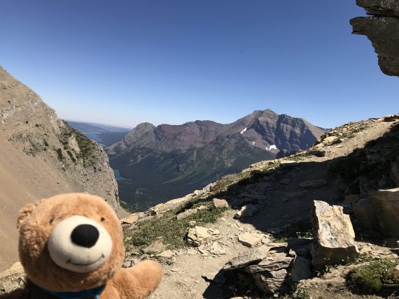 Grinnell Glacier her overlook teddy bear