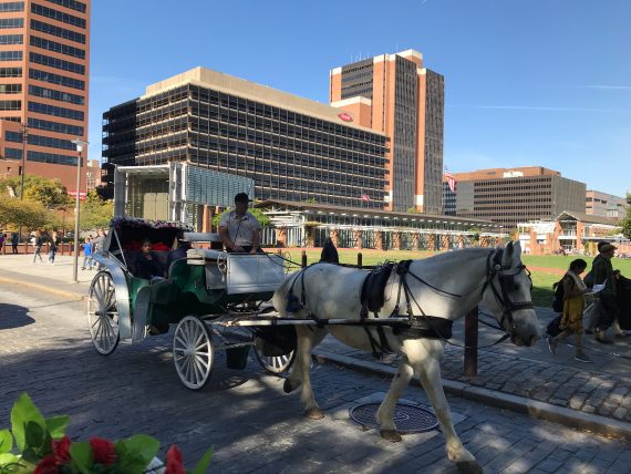 Horse and Buggy ride in Philadelphia