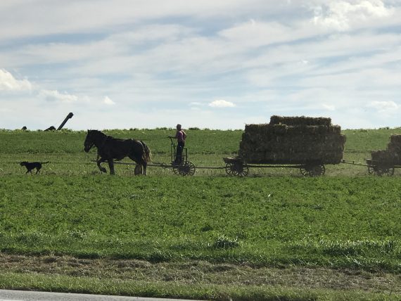Lancaster, Pennsylvania Amish Farmer