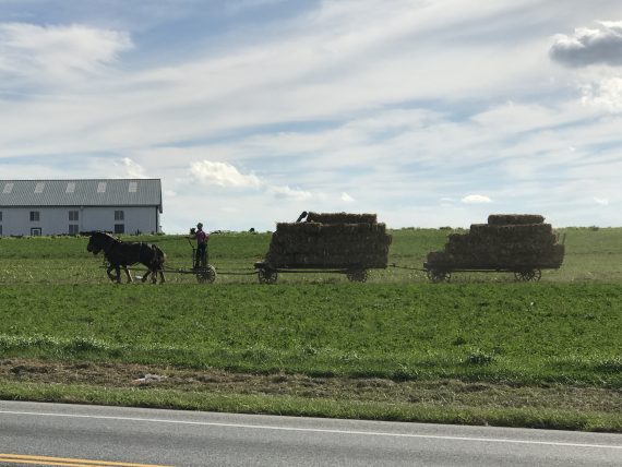 Lancaster, Pennsylvania Amish Farmer