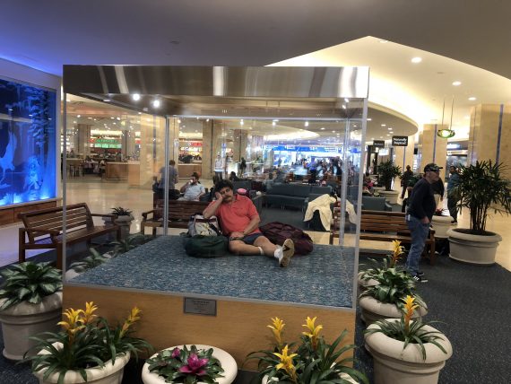 human statue at Orlando airport