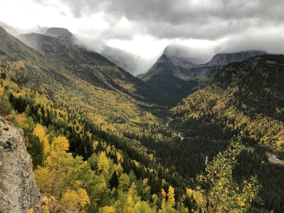 Glacier National Park fall foliage