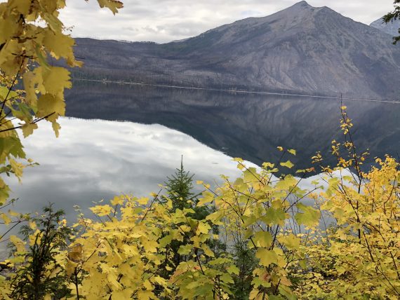 Howe Ridge fire