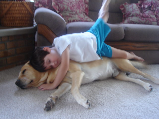 child laying on big dog