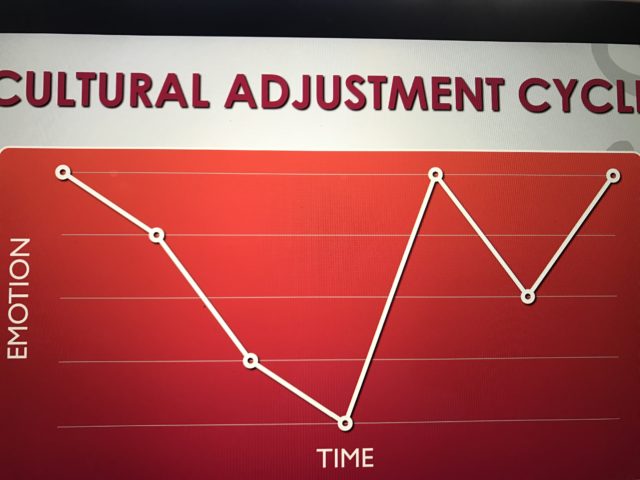 Cultural adjustment cycle image
