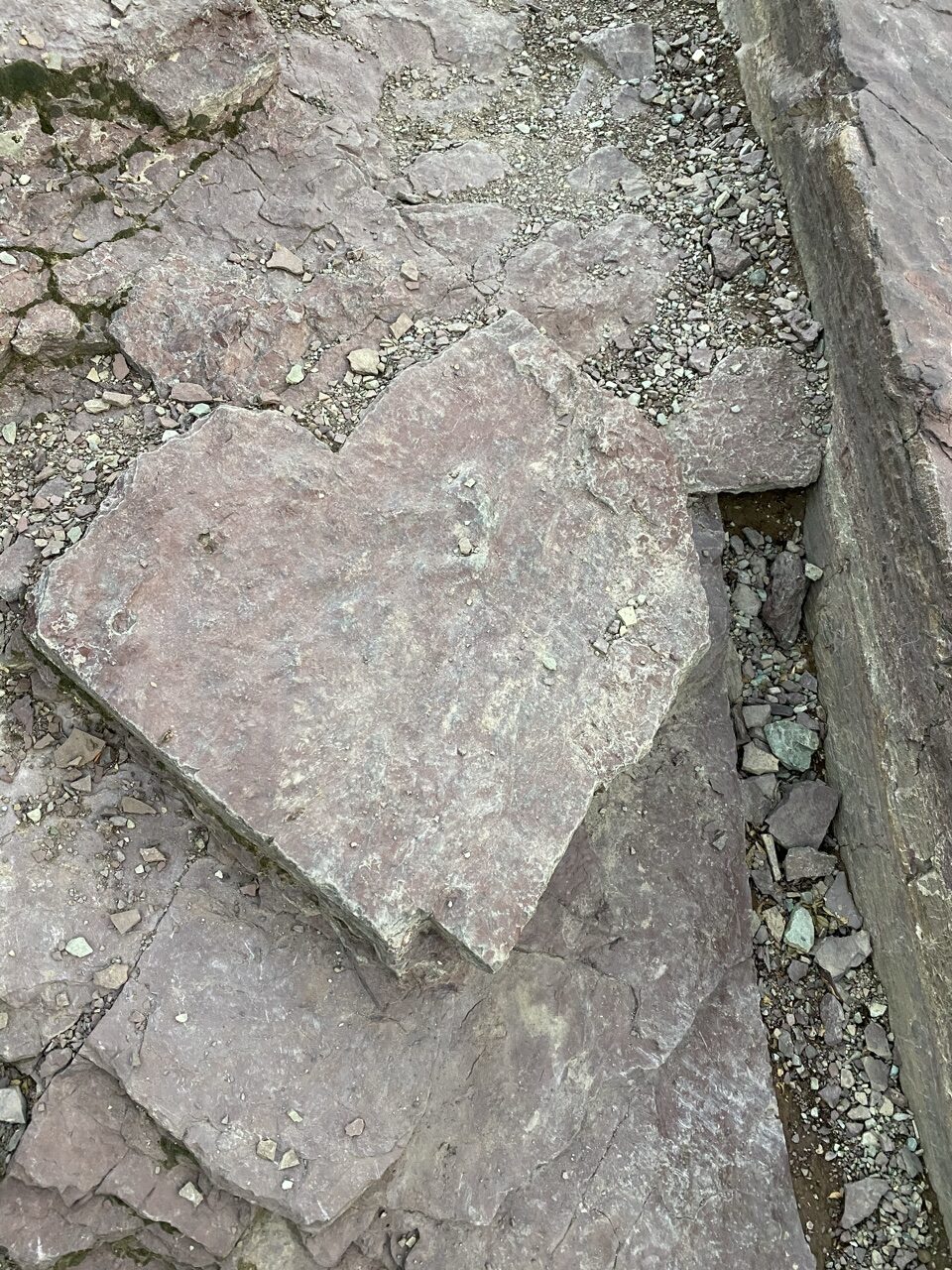 heart shaped rock on hiking trail