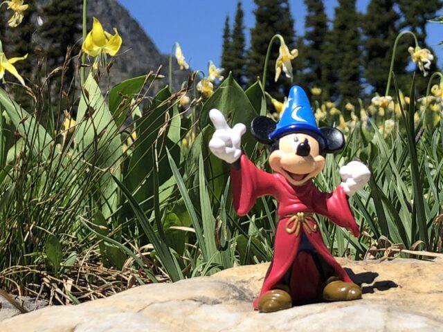 Fantasia Mickey Mouse toy in flowers