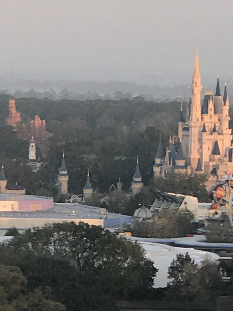 Ariel view of Cinderella Castle