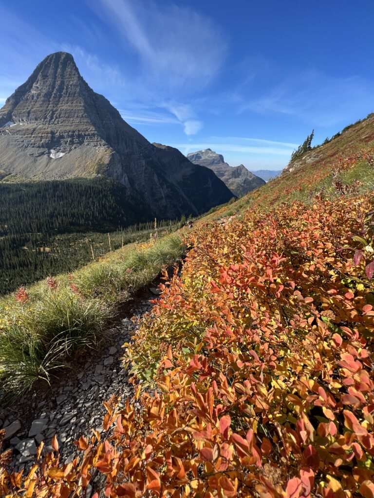 Mountain trail in the fall