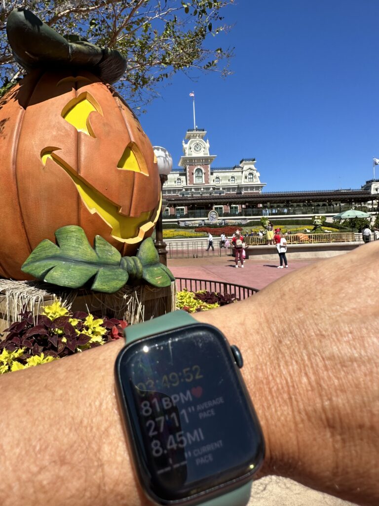 Apple Watch fitness display at Disney