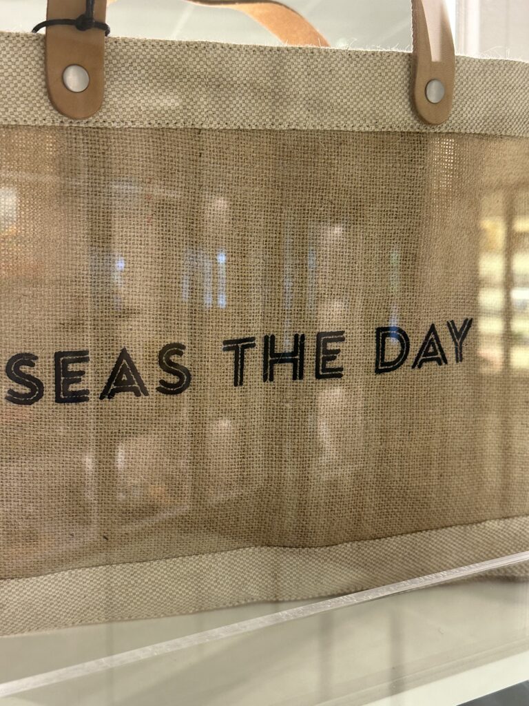 Purse that says seas the day