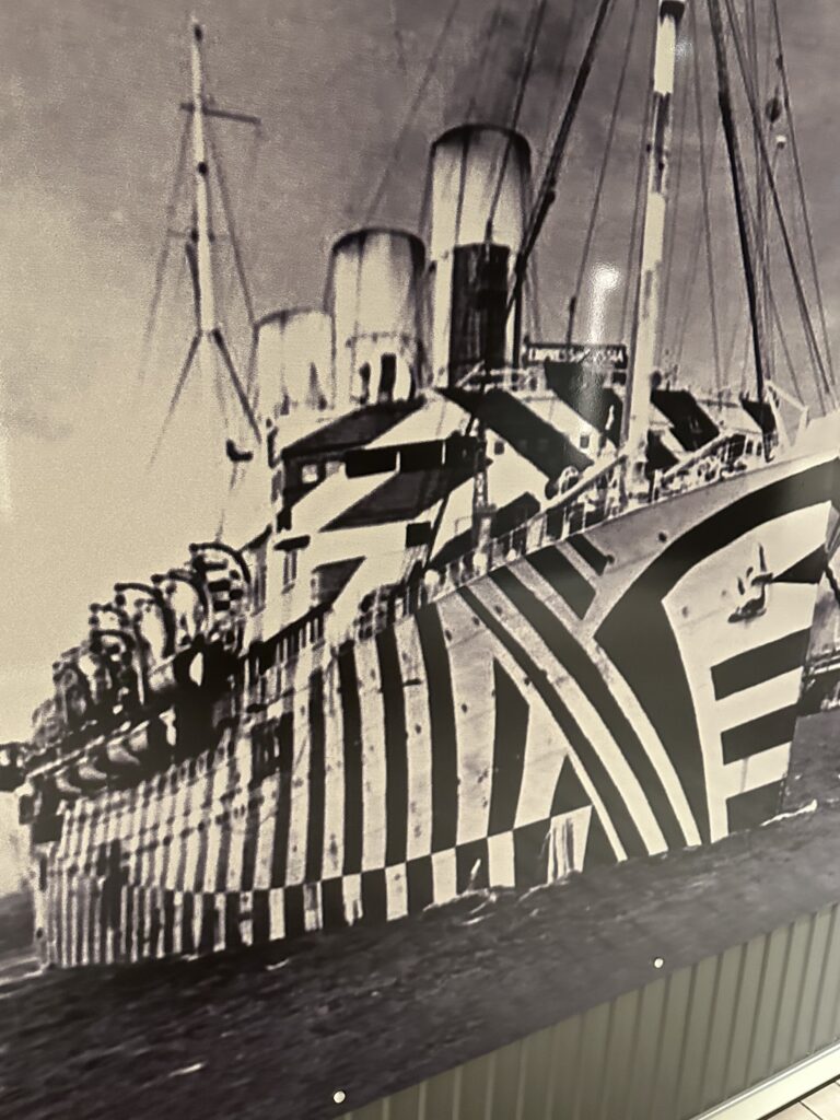Zebra pattern painted on cruise ship