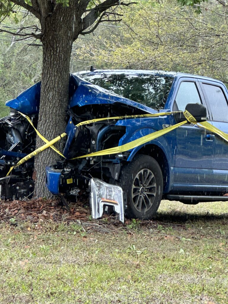 Car smashed head-on with a tree