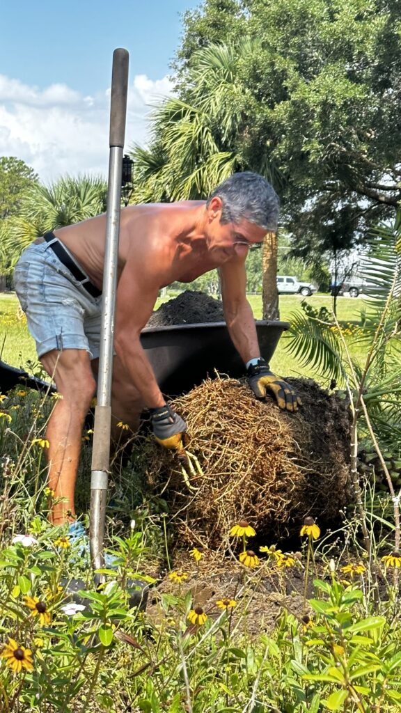 man planting a tree
