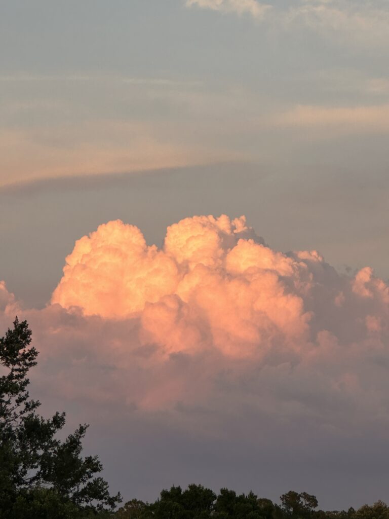 Rose colored Florida clouds at sunset