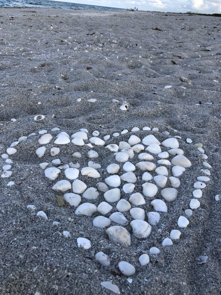 Heart shape made out of seashells on the beach