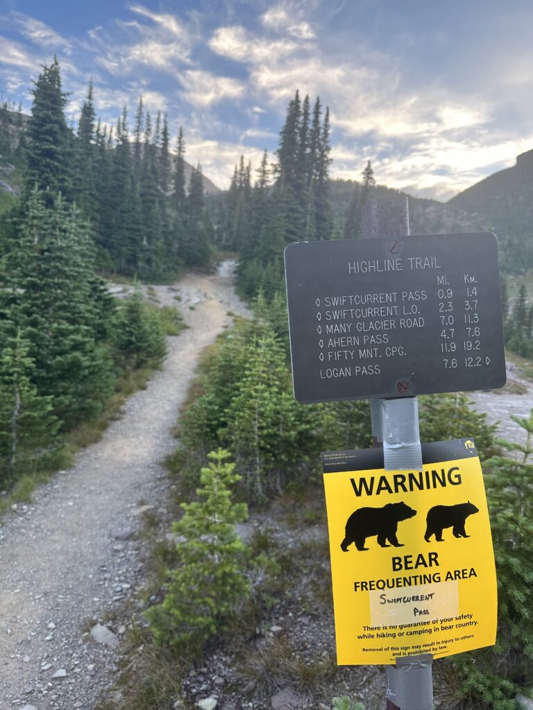 Bear warning sign on the trail