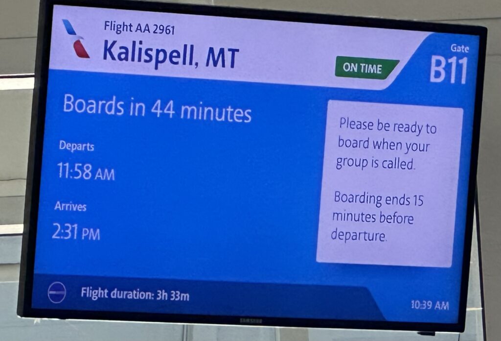 Flight status screen