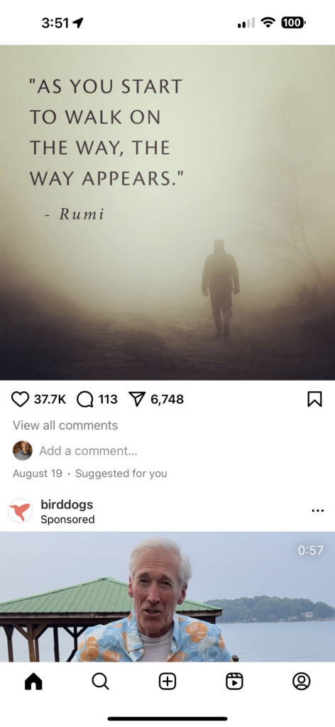 Social media screenshot featuring Rumi quote