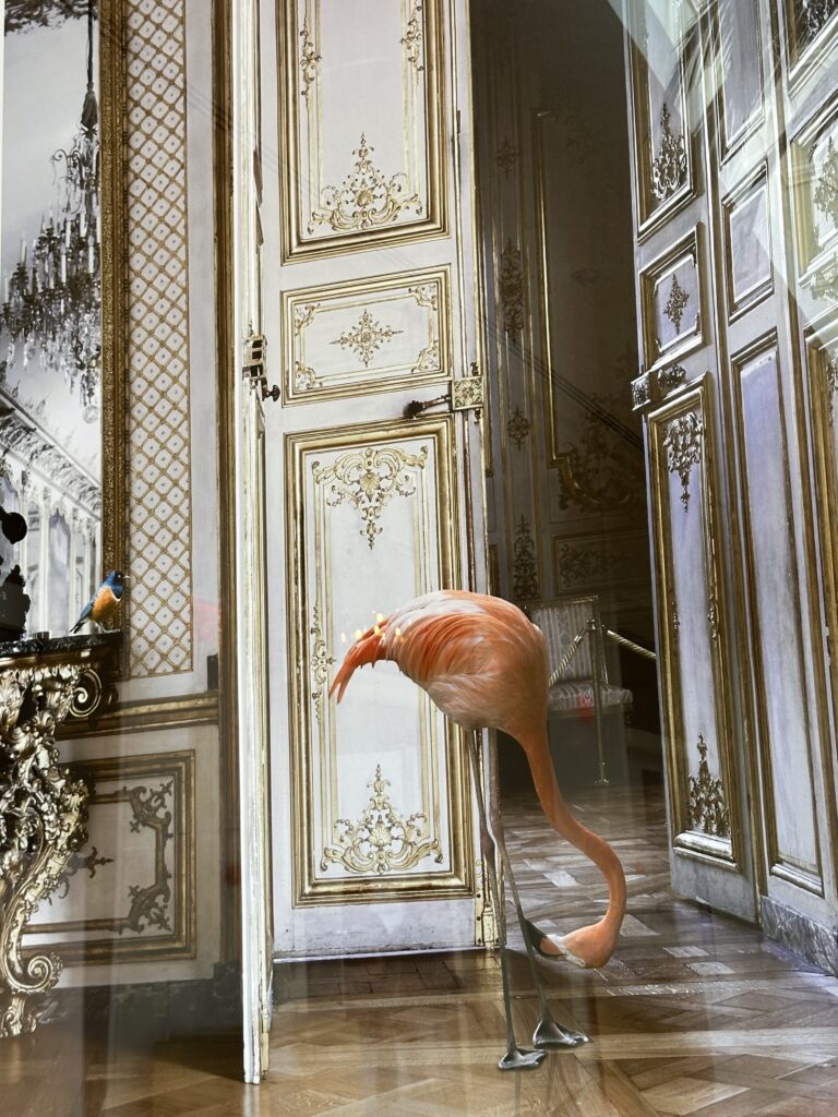 Weird art with a flamingo and a small bird in someone’s house