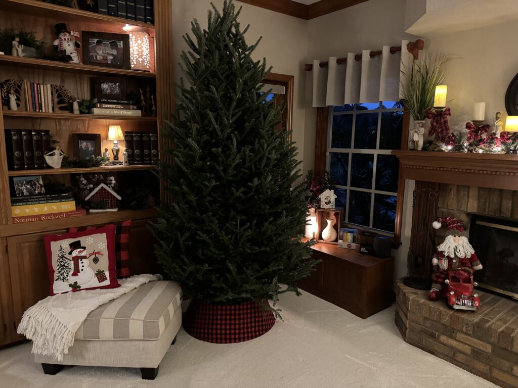 Christmas tree in family room