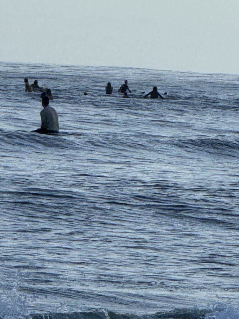 Surfers in the ocean