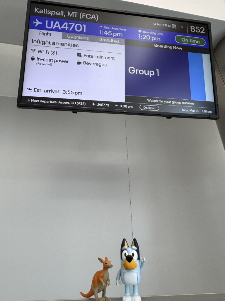 airport flight screen