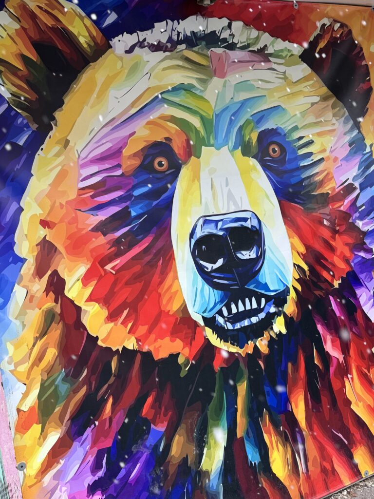  Colorful grizzly bear head painting