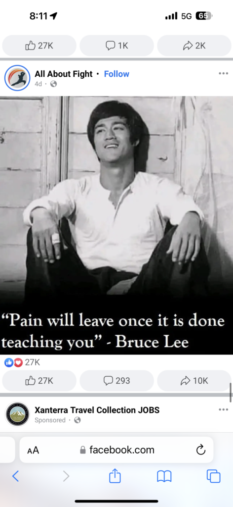 bruce lee quote
