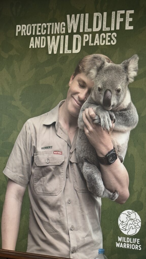 man holding koala