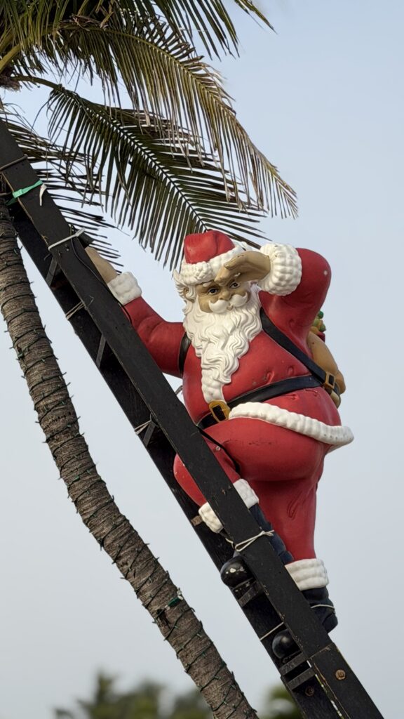 Santa climbing s palm tree