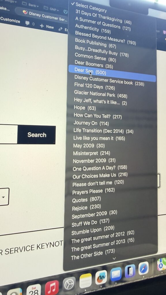 screen shot of a blog's categories list