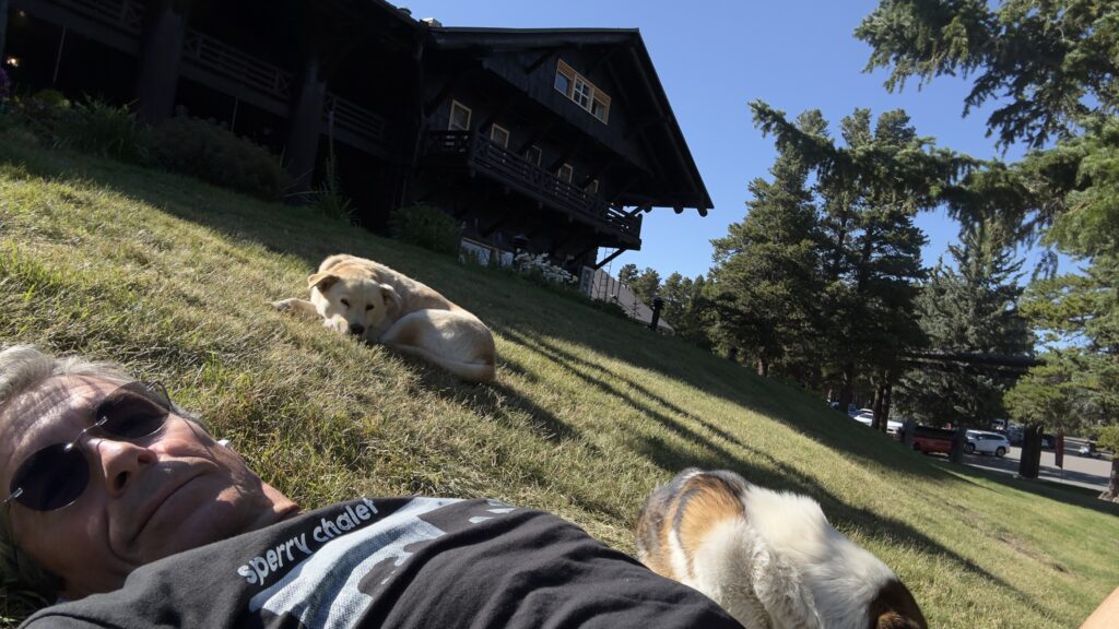 Glacier Park Lodge