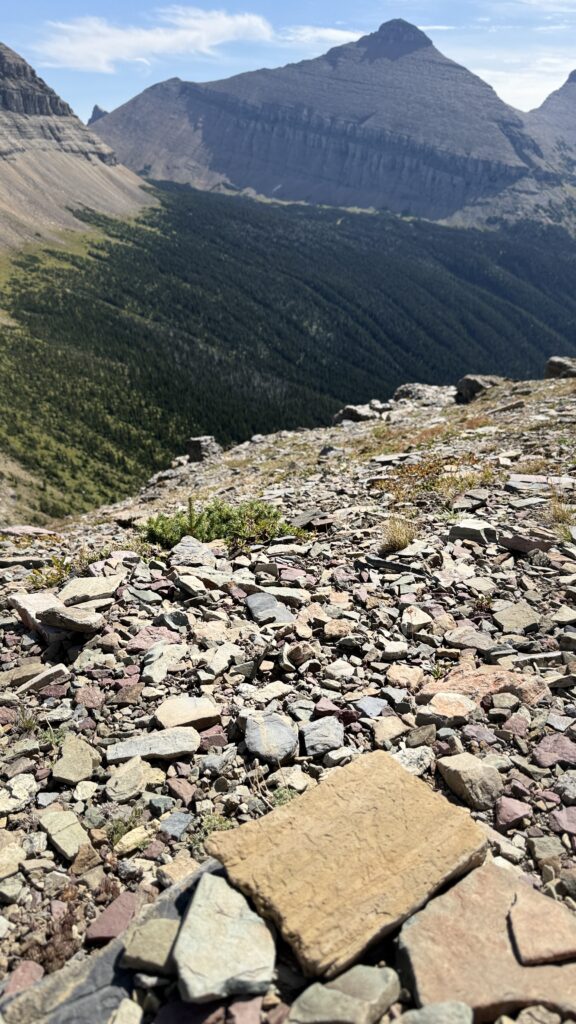 Glacier National Park