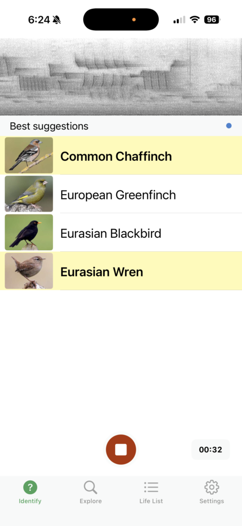 Merlin Bird app screenshot